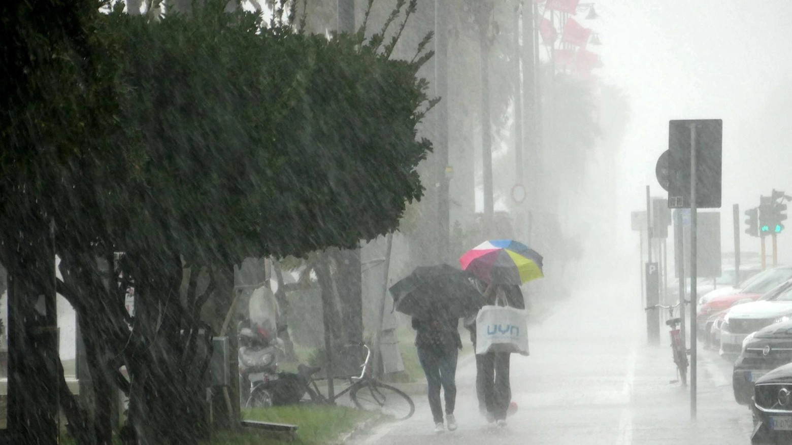 Allerta meteo arancione. Oggi chiuse le pinete per temporali forti