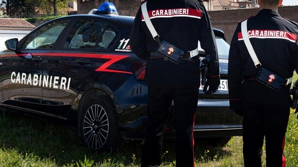 Carabinieri (foto d'archivio, Ansa)