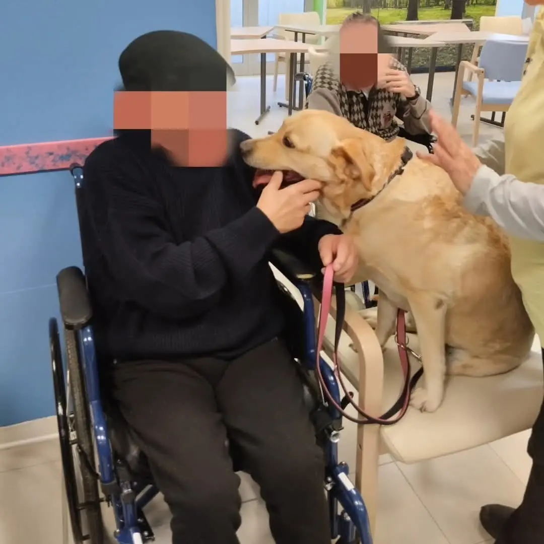 Claudia, la cagnolina che ha perso una zampa dopo un incidente ora cura gli ospiti delle Rsa