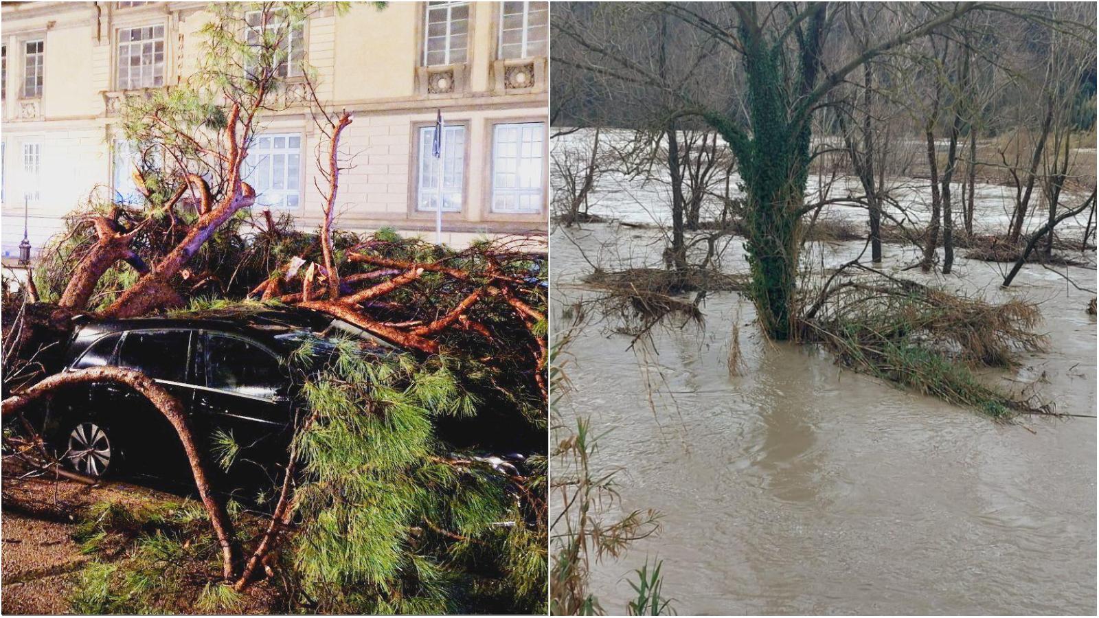 Pioggia implacabile in Toscana, alberi caduti e frane, esonda il fiume Cecina