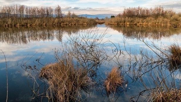 La protezione degli uccelli. Il lago di Sibolla diventa un’oasi