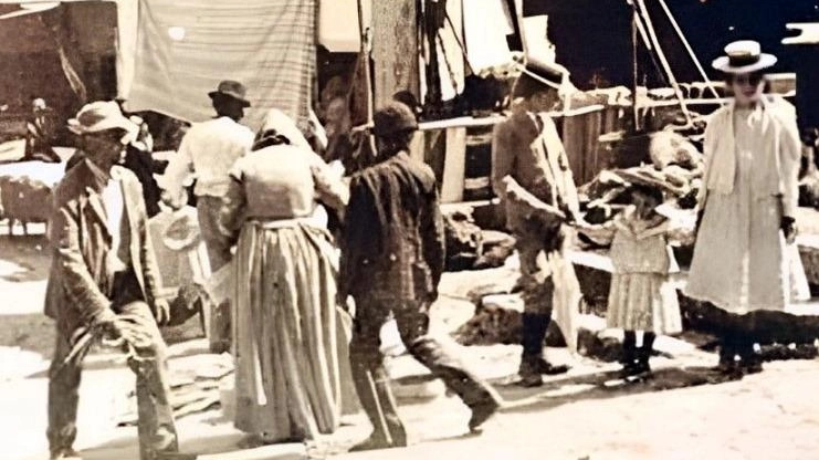 Il Comune di Panicale arricchisce le tradizionali feste dell'uva, del patrono e dell'olio con nuove iniziative nell'ambito del progetto "Il Turismo delle Radici". Una mostra fotografica e un concerto celebrano l'Anno delle radici italiane.