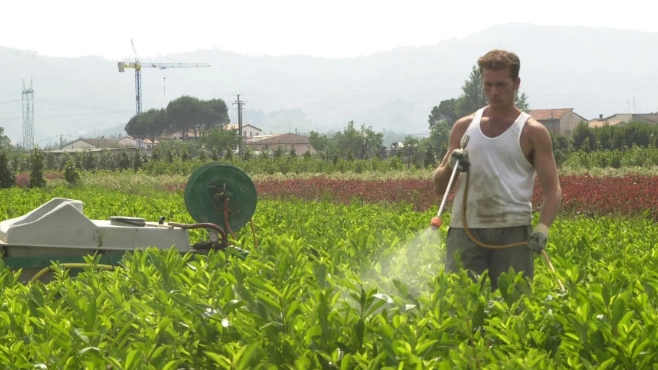 Vola il vivaismo toscano grazie alle imprese pistoiesi. Cifre record in un trimestre