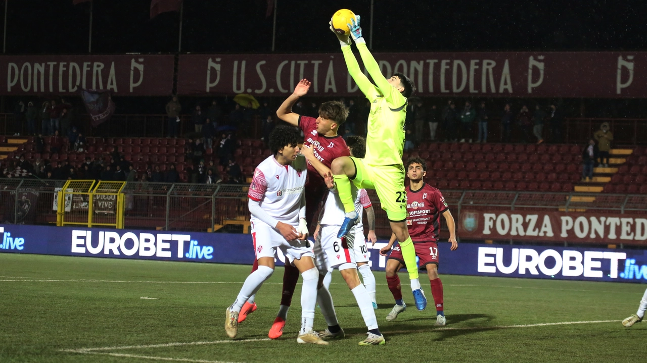 Pontedera-Vis Pesaro (foto Luca Bongianni/Germogli)