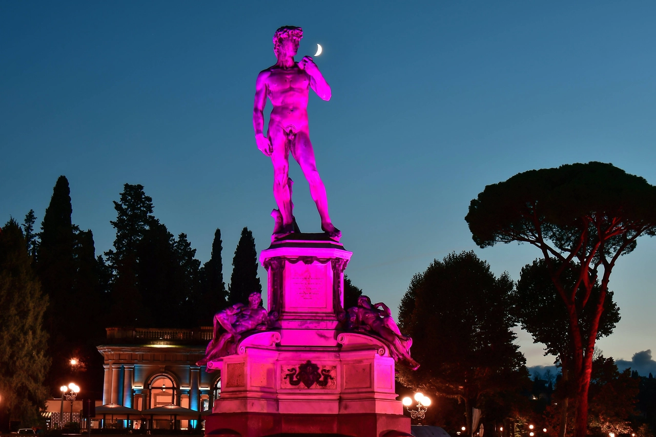 Il David illuminato di rosa