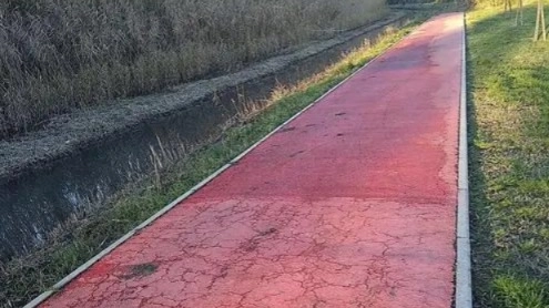 La pista ciclabile