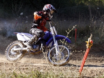 immagine articolo