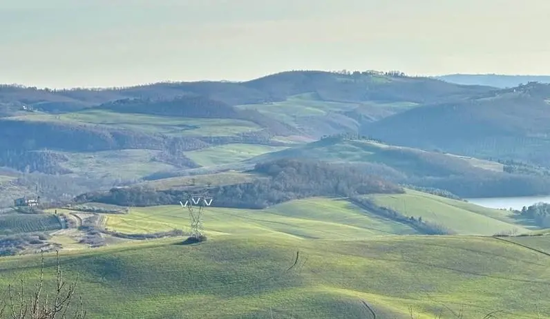 Spunta una centrale agrivoltaica: "E’ nel Lazio, ma a due passi da noi"