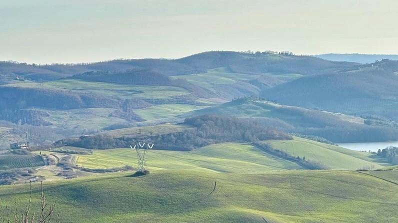 L’area dove dovrebbe sorgere l’impianto fotovoltaico