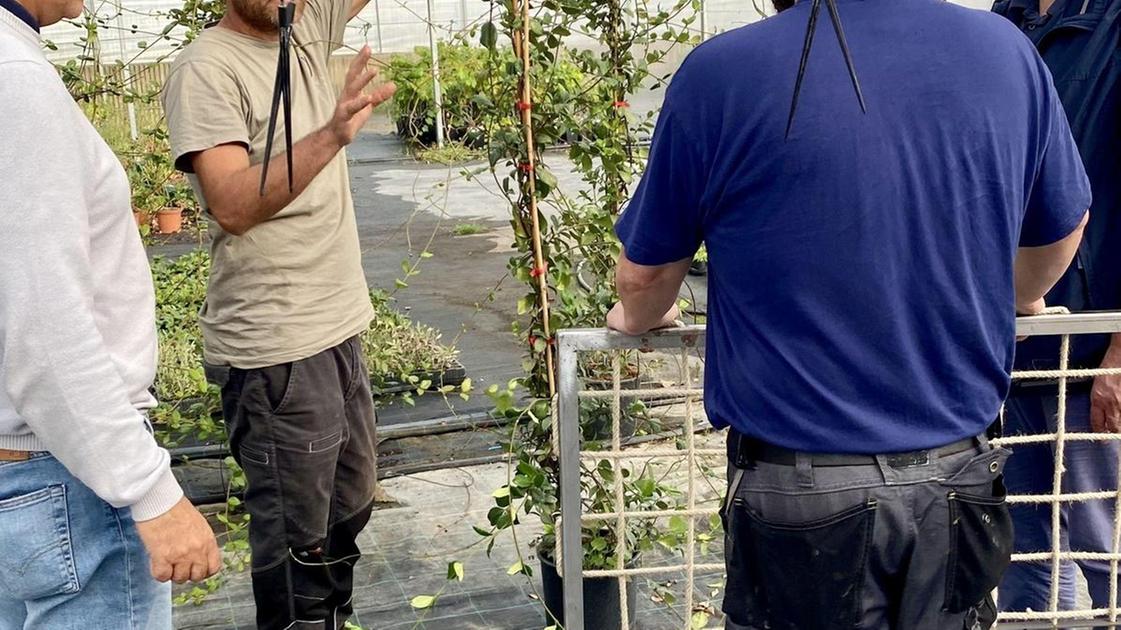 La fabbrica diventa biodegradabile. Industria e ambiente a braccetto