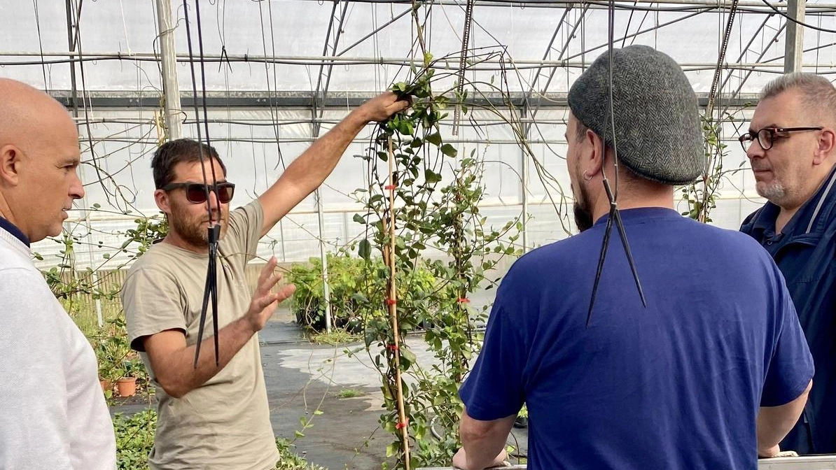 La fabbrica diventa biodegradabile. Industria e ambiente a braccetto