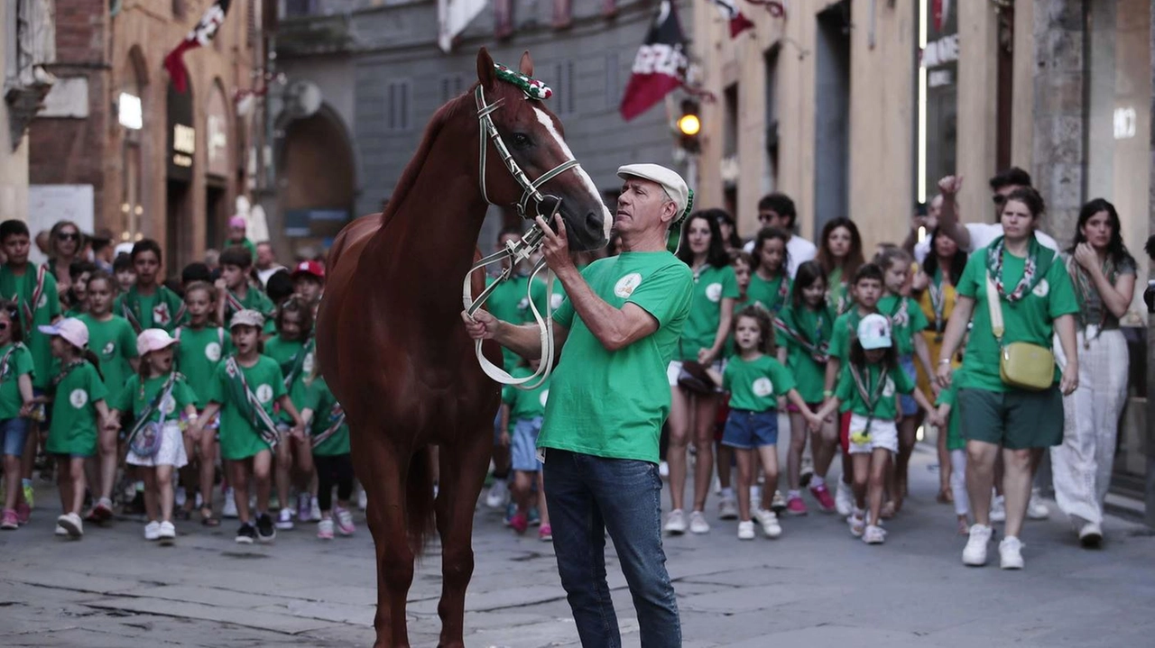 Al barbaresco vanno assicurati necessari spazi di manovra del cavallo durante il tragitto