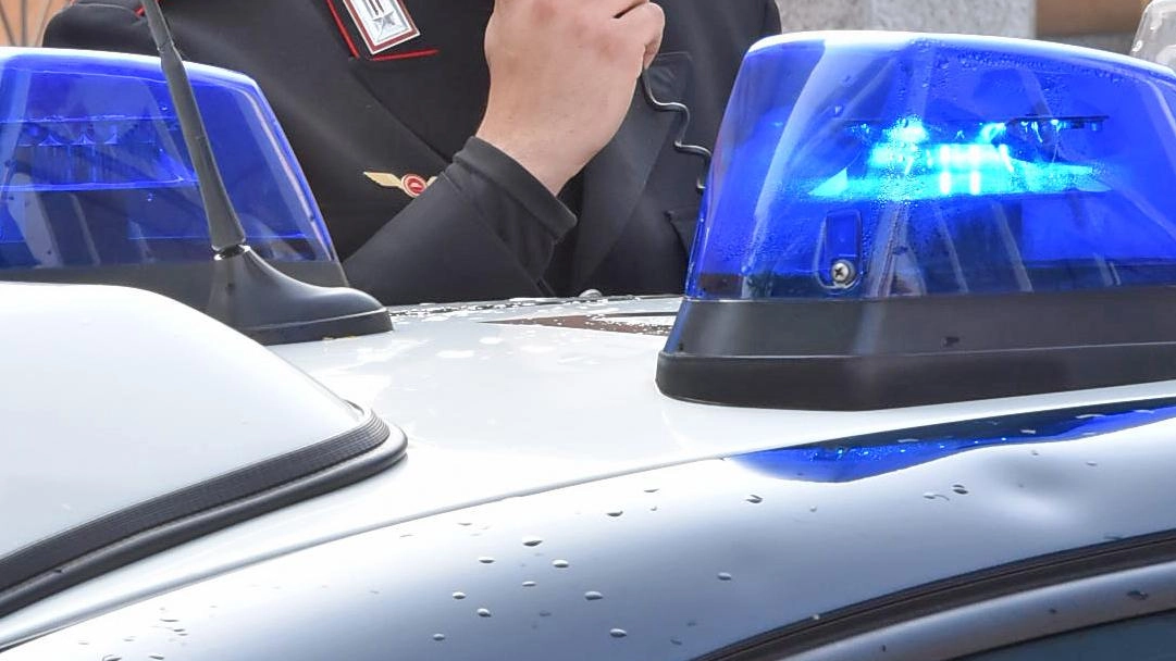 La donna arrestata dai carabinieri