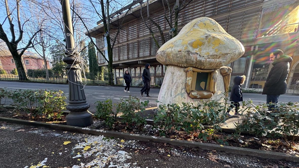 Anche la Pineta sarà oggetto di maggiori attenzioni sul fronte della pulizia e della lotta al degrado