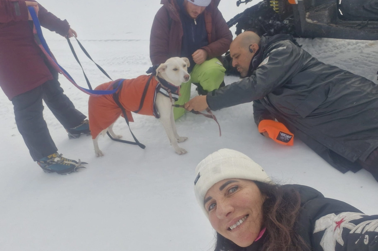 Kate, la cagnolina ritrovata all'Abetone