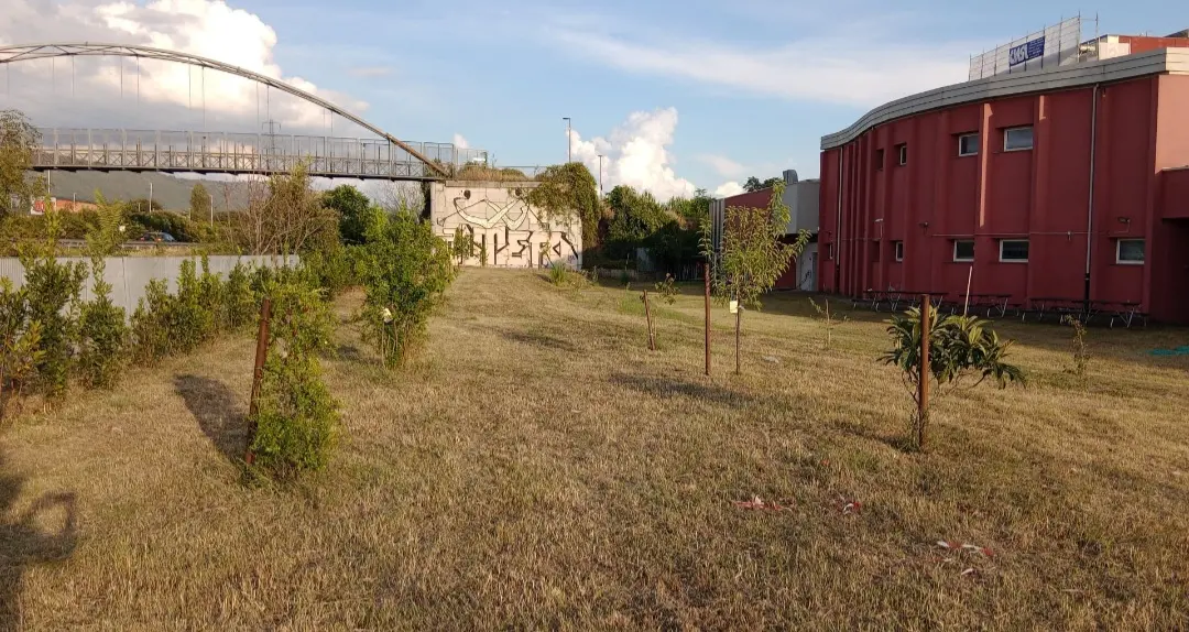 Scuola, raccolta fondi per gestire il giardino del Dagomari