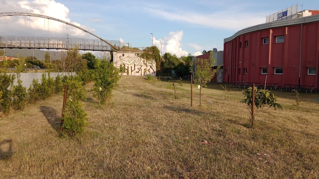 Il giardino del Dagomari