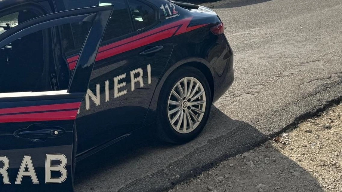 TERNI I carabinieri hanno denunciato un 28enne , conducente di un furgone di un corriere nazionale, per detenzione di sostanze stupefacenti...