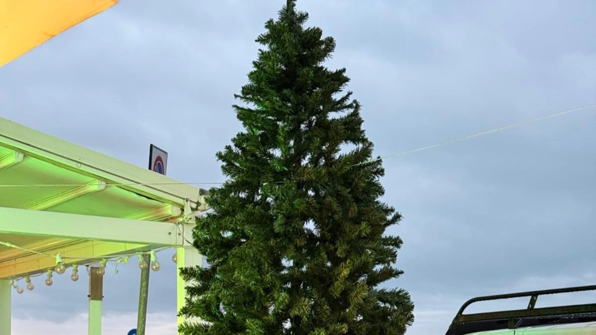 L'albero di Natale di Marina che sarà presto addobbato e acceso