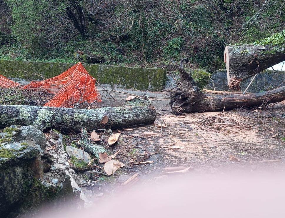 Notte di paura in montagna. Alberi caduti, un ponte sfondato. Famiglia isolata a La Colombetta