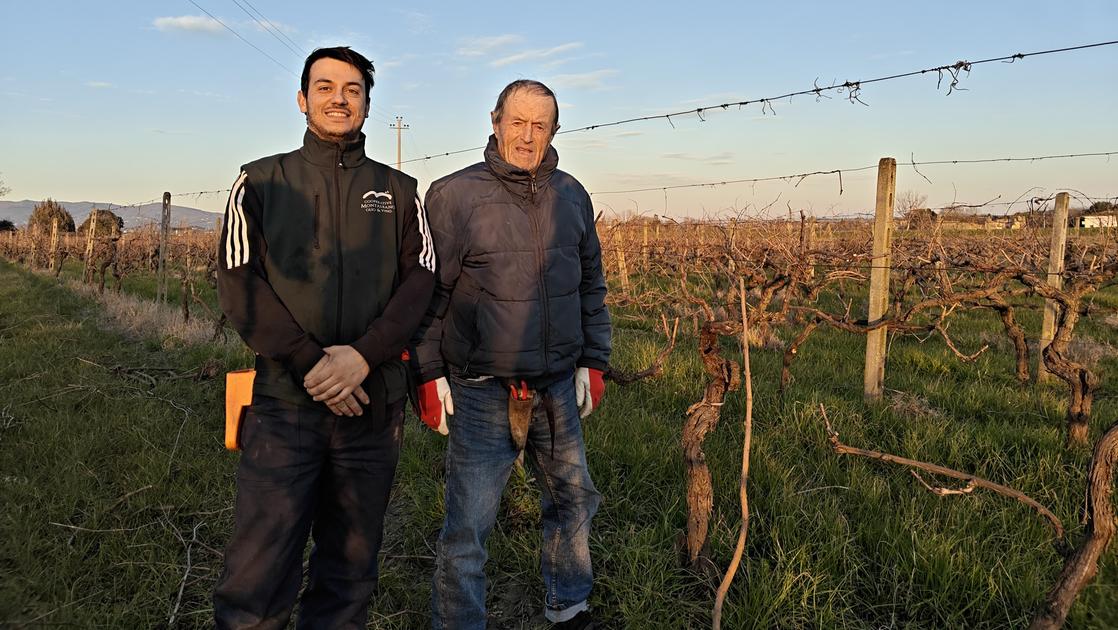 “Alla tecnologia preferisco la terra”. San Miniato, ecco il contadino di quarta generazione