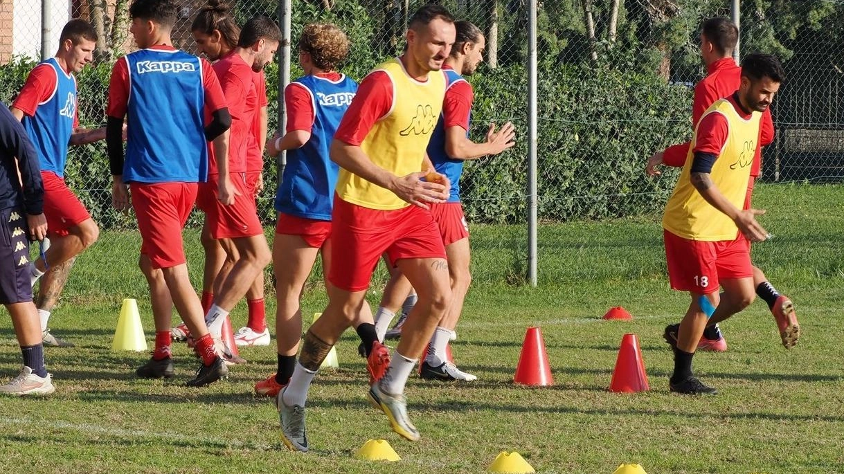 Il Grifone al lavoro. Cretella e Senigagliesi ok