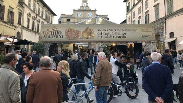 La mostra sarà gestita dall’ Ente Fiera Salone Nazionale tartufo bianco pregiato