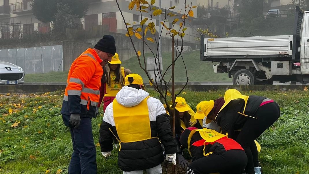 La "Festa dell’albero" a Rignano: studenti piantano arbusti per il verde urbano. Coinvolti anche in "Puliamo il mondo" per la salvaguardia dell'ambiente. Impegno concreto della comunità e delle scuole per un clima di pace.