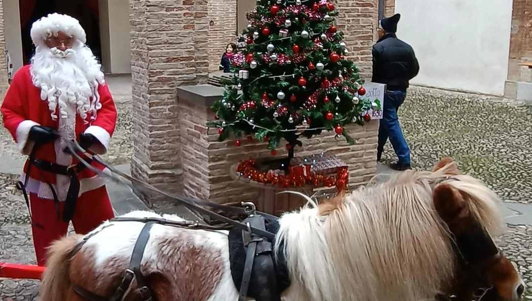 Il presidente di Conflitorale Confcommercio presenta gli eventi natalizi sul litorale, con luci e spettacoli per grandi e piccoli fino a fine dicembre.