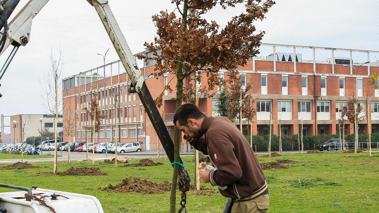 VOLTERRA Villamagna celebra l’equinozio di primavera con la messa a dimora di due cipressi, uno per ogni bambino nato nel 2024....