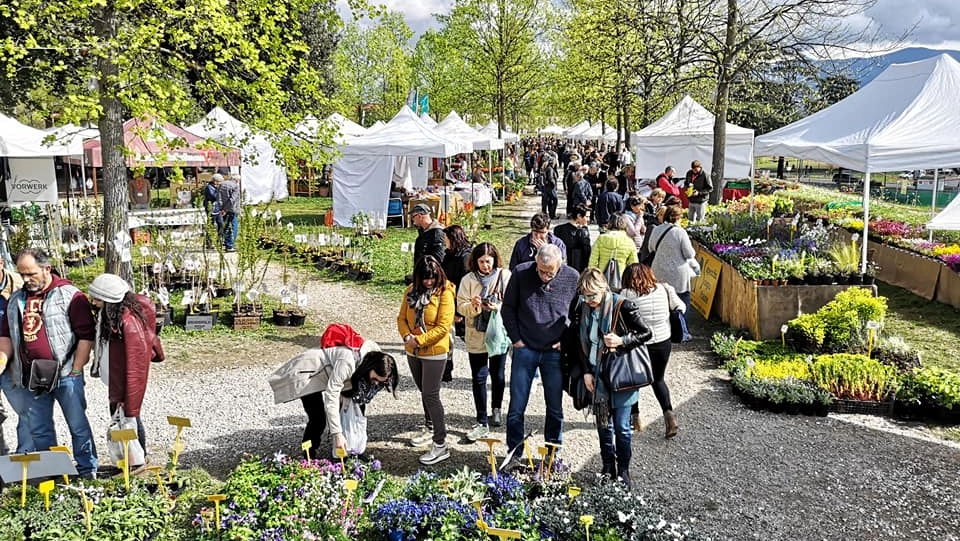 Lucca, torna VerdeMura: la grande fiera del giardinaggio