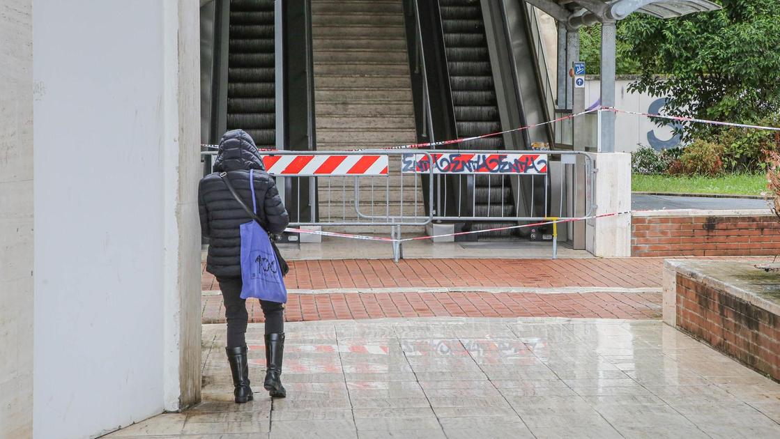 Un pino marittimo minaccia le scale mobili e la scarpata fa paura