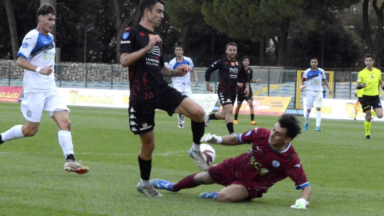 Oggi in terra umbra la partita di ritorno tra Grosseto e Fulgens Foligno