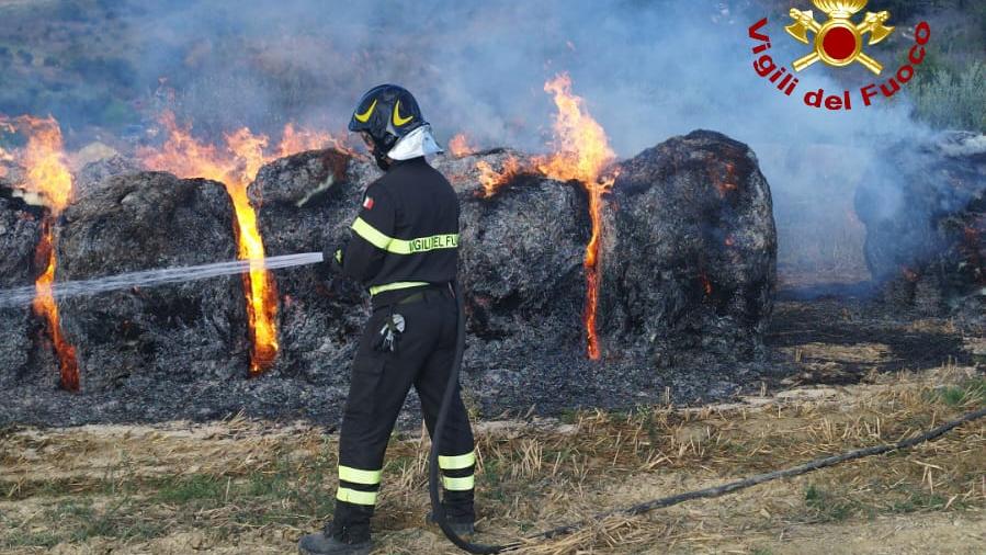 Incendio in un campo, settanta rotoballe di fieno a fuoco