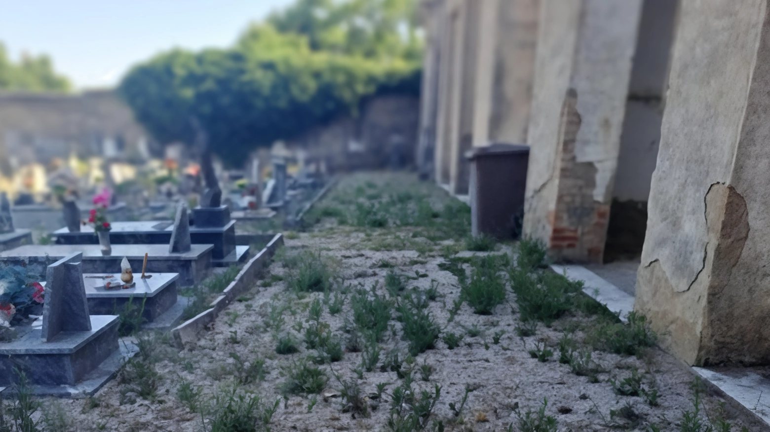 I cittadini di Prata chiedono intervento urgente per il degrado del cimitero, denunciando l'abbandono dell'Amministrazione e minacciando segnalazioni alle autorità competenti.
