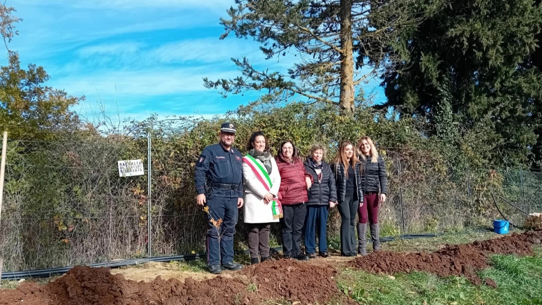 San Casciano dei Bagni, piantato l’Albero di Falcone alla scuola primaria