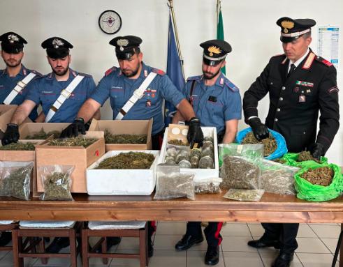 Odore di cannabis dall’auto: così i carabinieri scoprono 8 kg di droga in casa