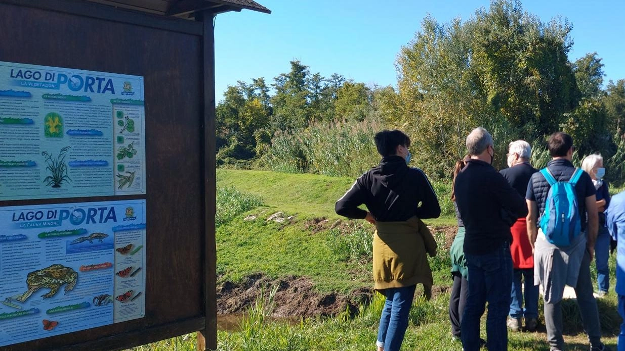 Foglie e steli morti del canneto che si depositano sul fondo del lago potrebbero essere la causa del diradamento dello...