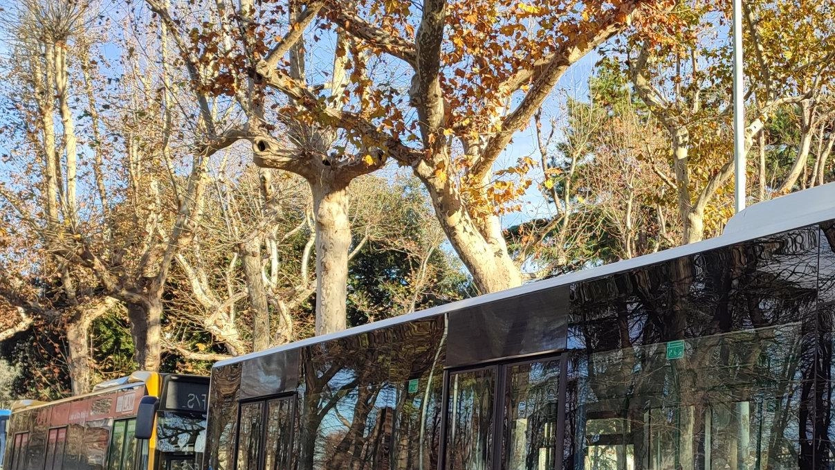 I sindacati denunciano la mancanza di aria condizionata sui bus di Carrara, mettendo in luce rischi per la salute di autisti e passeggeri. Richieste di intervento ignorate dall'azienda.