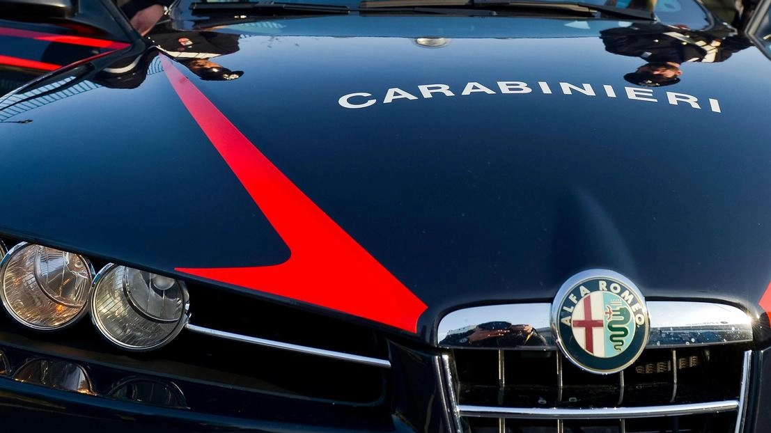 I ladro è stato femato da due carabinier in borghese e poi portato nella caserma del Cortile degli Svizzeri (foto archivo)