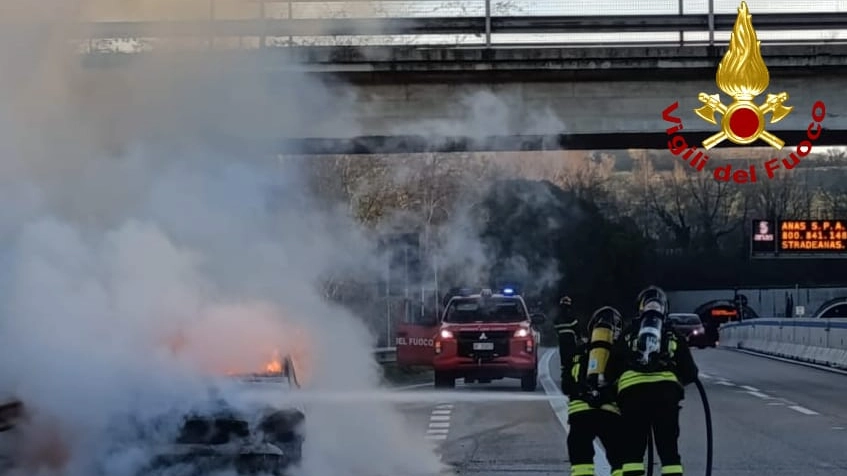 L'intervento dei vigili del fuoco