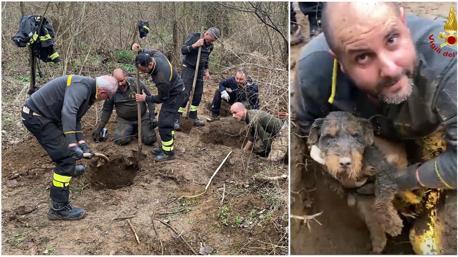 Cane precipita in una buca, salvato dai vigili del fuoco dopo ore di lavoro