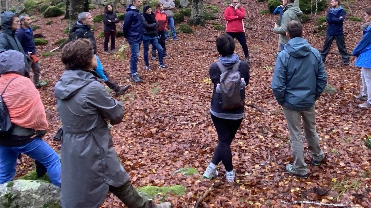 Tre certificazioni pilota con "Bosco Serv.e"