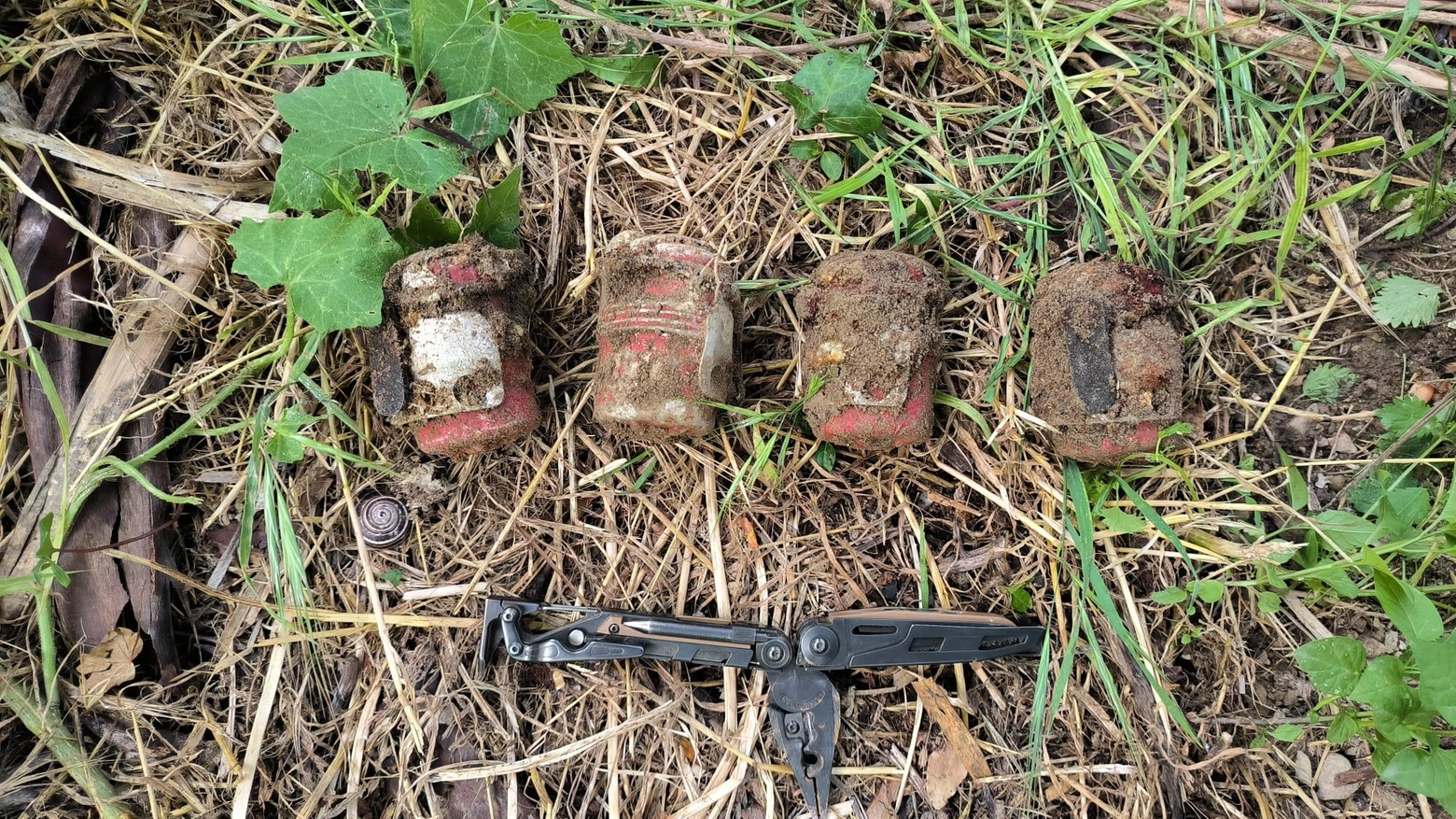 Trova quattro bombe a mano  mentre lavora nel giardino
