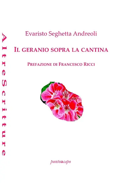 Cè un geranio che fiorisce sulla cantina degli anni