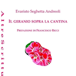 Cè un geranio che fiorisce sulla cantina degli anni