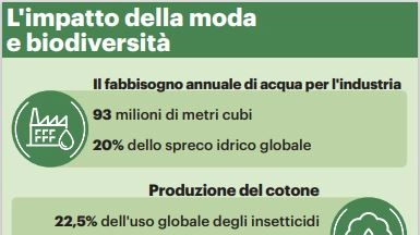 Il grafico con i dati dell'impatto  della moda sulla biodiversità