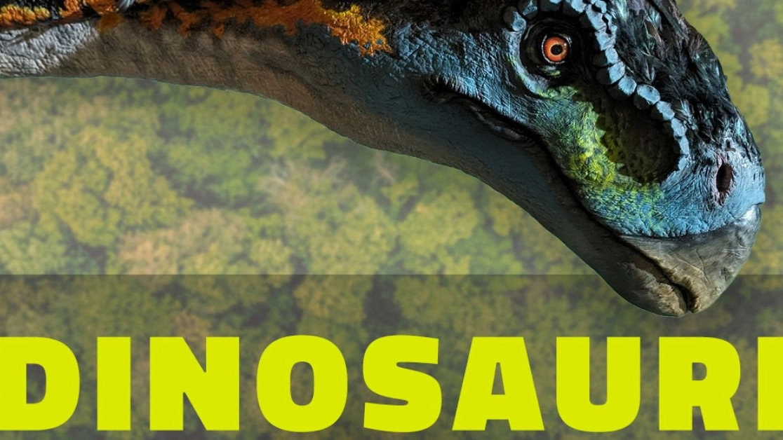 La mostra Dinosauri