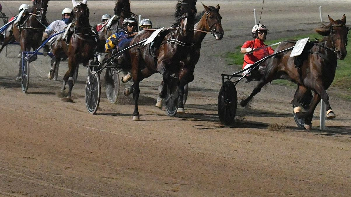 Corse al trotto in notturna all’ippodromo Sesana di Montecatini Terme