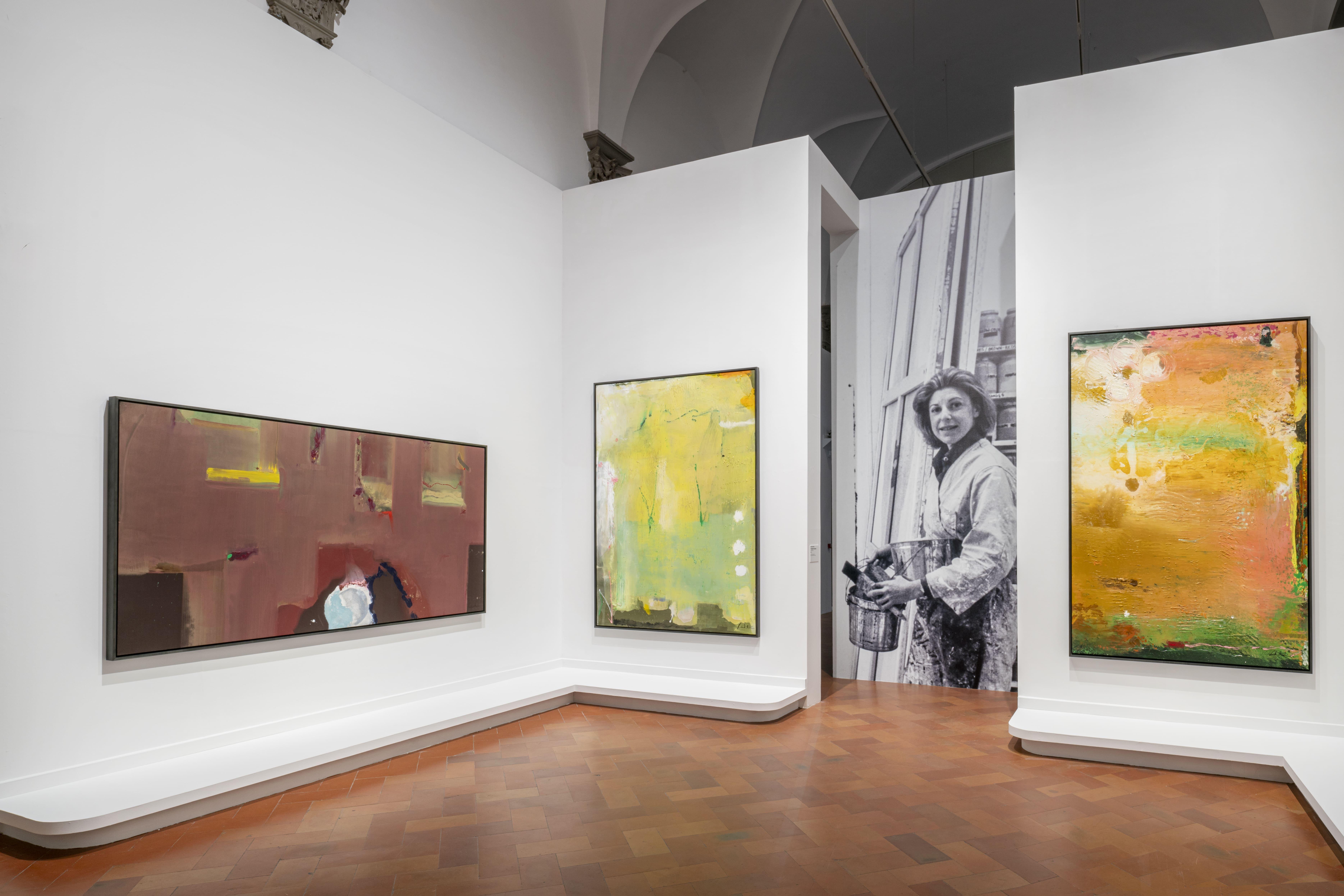 https://www.lanazione.it/image-service/view/acePublic/alias/contentid/ZmQ0MWUwYmMtNzM3MS00/0/helen-frankenthaler-dipingere-senza-regole.jpeg